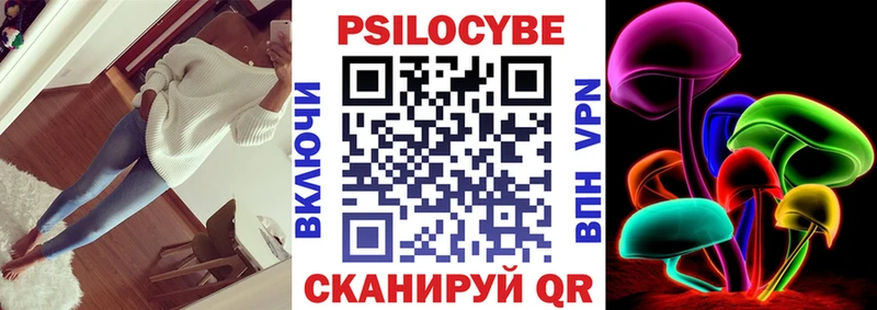 omg ссылки  цены наркотик  Михайлов  Галлюциногенные грибы GOLDEN TEACHER 